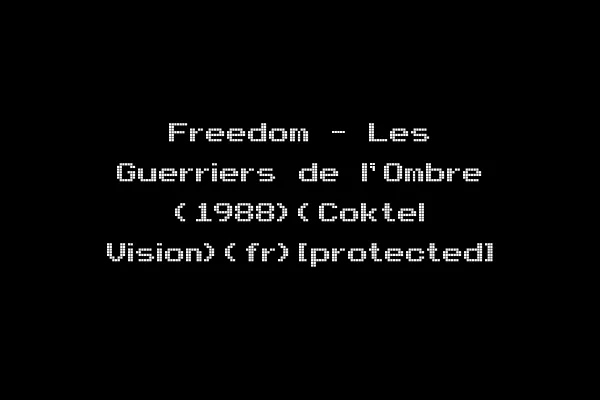 Freedom - Les Guerriers de l'Ombre (1988)(Coktel Vision)(fr)[protected]