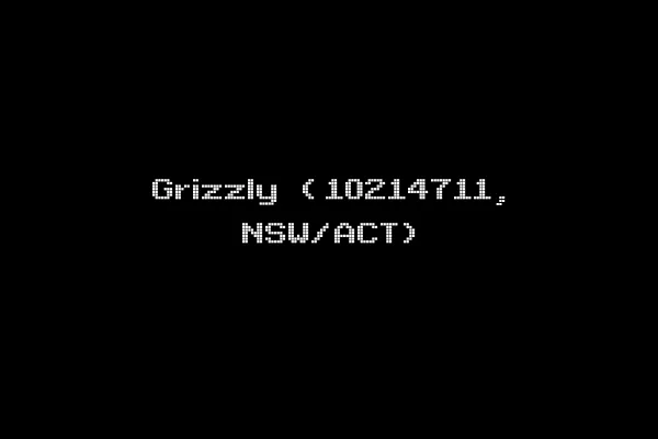 Grizzly (10214711, NSW/ACT)