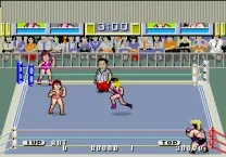 Body Slam (8751 317-0015)