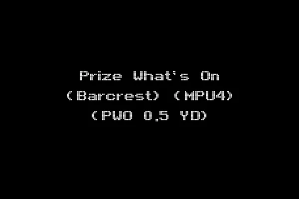 Prize What's On (Barcrest) (MPU4) (PWO 0.5 YD)