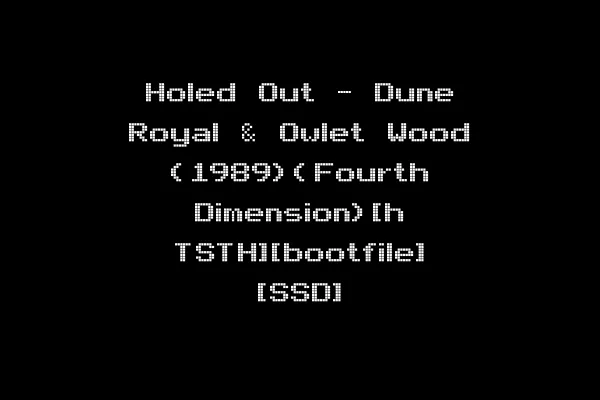 Holed Out - Dune Royal & Owlet Wood (1989)(Fourth Dimension)[h TSTH][bootfile] [SSD]