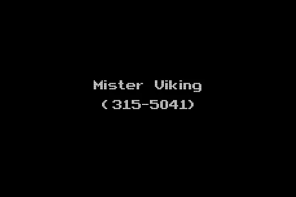Mister Viking (315-5041)