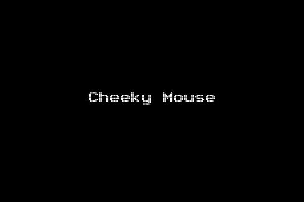 Cheeky Mouse