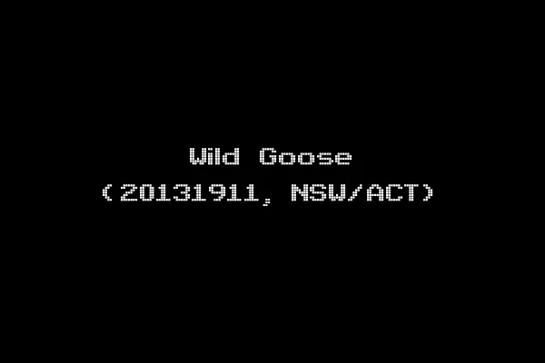 Wild Goose (20131911, NSW/ACT)