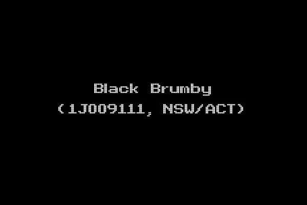 Black Brumby (1J009111, NSW/ACT)