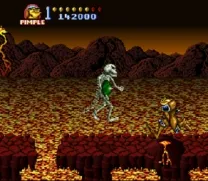 Battletoads in Battlemaniacs (USA)