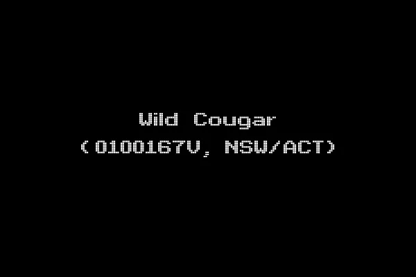 Wild Cougar (0100167V, NSW/ACT)