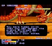 King of Dragons, The (USA)