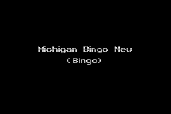 Michigan Bingo New (Bingo)