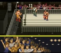Hammerlock Wrestling (USA)
