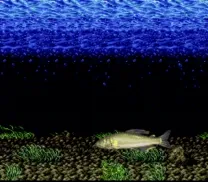Kawa no Nushi Tsuri 2 (Japan)