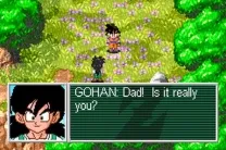 2 in 1 - Dragon Ball Z - The Legacy of Goku I & II (U)(Rising Sun)