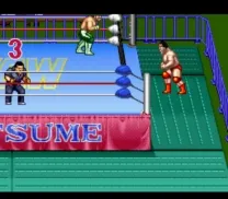 Natsume Championship Wrestling (USA)