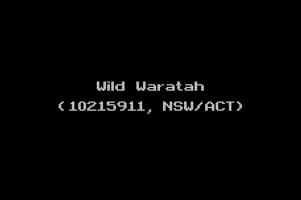 Wild Waratah (10215911, NSW/ACT)