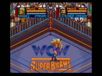 WCW Super Brawl Wrestling (USA)