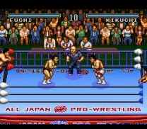 Zen-Nihon Pro Wrestling (Japan)