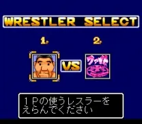 Zen-Nihon Pro Wrestling - Fight da Pon! (Japan)