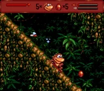 Radical Rex (USA)