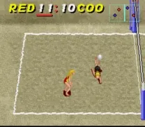 Volleyball Twin (Japan)