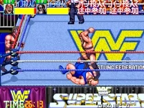 WWF WrestleFest (US bootleg)