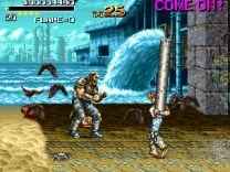 Undercover Cops (Japan)