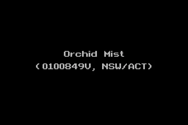 Orchid Mist (0100849V, NSW/ACT)